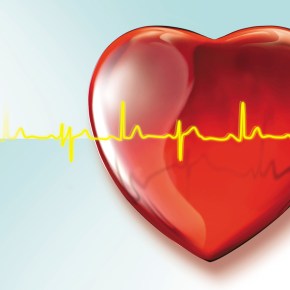 SINAIS VITAIS FUNCIONANDO, COM MUITA DOR (Por Selvino&nbsp;Heck)