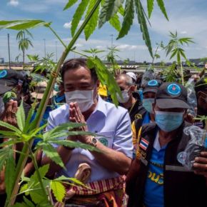 Tailândia, o país que abandonou guerra às drogas e agora tem até tempero à base de&nbsp;maconha