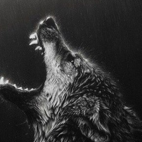 Sinais trocados (ou “e se os lobos solitários virarem alcateia?”) Por Alex&nbsp;Saratt)