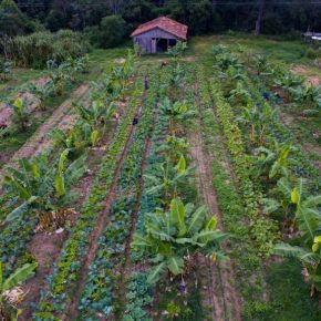 Com agroecologia e cooperação há Reforma Agrária&nbsp;Popular