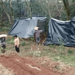 Comunidades Indígenas foram atacadas no Rio Grande do Sul e outros Estados no final de&nbsp;semana