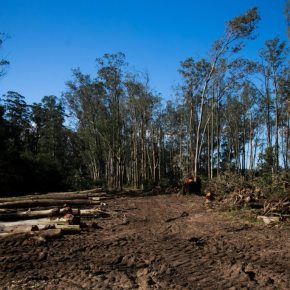 NOSSO PARQUE SAINT´HILAIRE PEDE SOCORRO (Por Selvino&nbsp;Heck)