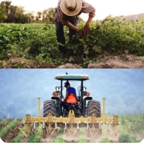PAC da Agricultura Familiar é caminho pra reduzir preços de alimentos, mostram agricultores em&nbsp;Nota