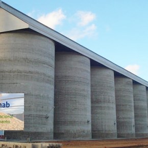 Estoques Reguladores: Depois de 11 anos, CONAB volta a formar estoques de&nbsp;trigo