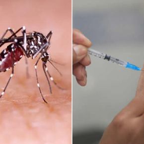 Com Vacina contra chikungunha aprovada pela ANVISA, Brasil lidera luta contra doença na América Latina e no&nbsp;mundo