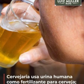 Transformando Urina em Cerveja: Inovação na Agricultura e na indústria&nbsp;cervejeira