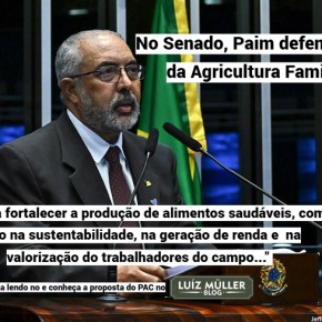 No Senado, Paim defende PAC da Agricultura&nbsp;Familiar