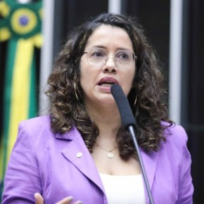 Ouvindo sugestões de mulheres, Denise Pessôa Lança PL para Teleatendimento Psicológico&nbsp;Nacional