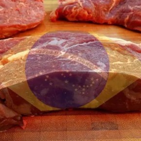 A Vacina Gaúcha que revolucionou a produção e transformou o Brasil no maior produtor de Carne do&nbsp;Mundo
