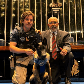 Avanço Histórico: Senado discute o Estatuto dos Cães e Gatos e reforça o combate aos&nbsp;maus-tratos