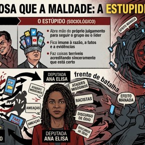 Mais Perigosa que a Maldade: A Estupidez Coletiva por Trás dos Ataques a Flávio Dino e Ana&nbsp;Elisa